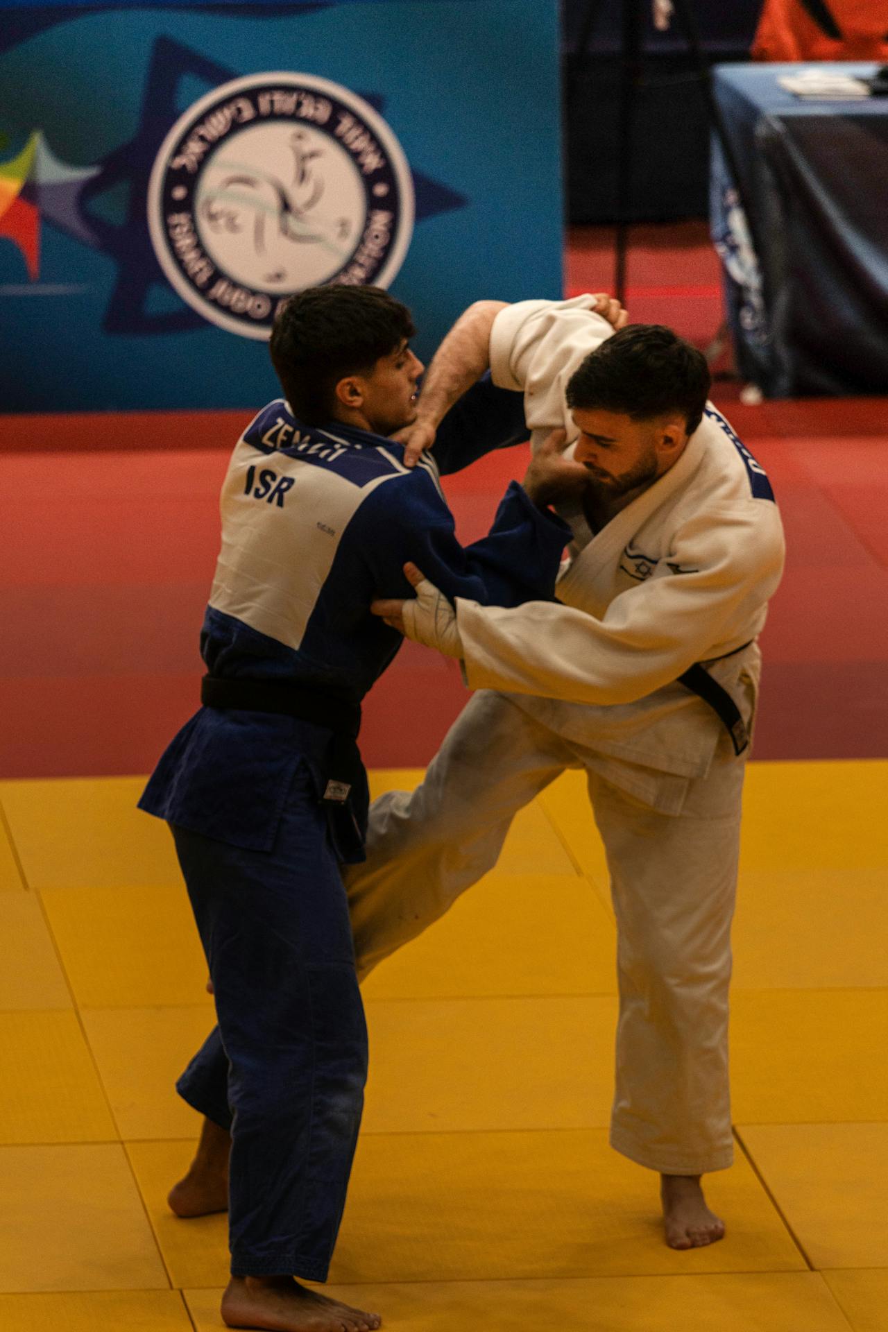 Соревнования по дзюдо